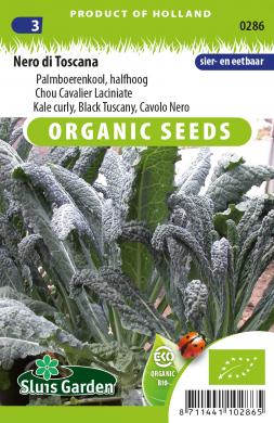 Kale Nero di Toscana BIO (Brassica) 150 seeds
